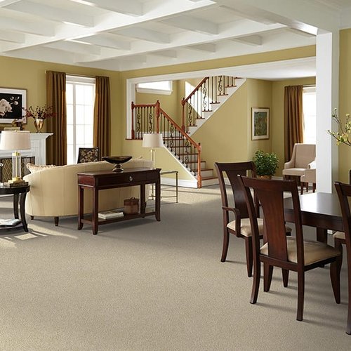 Soft Carpet floors available in Manoa Hawaii
